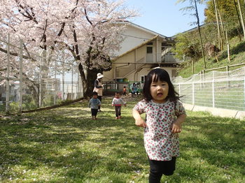 290413 お花見(12).JPG